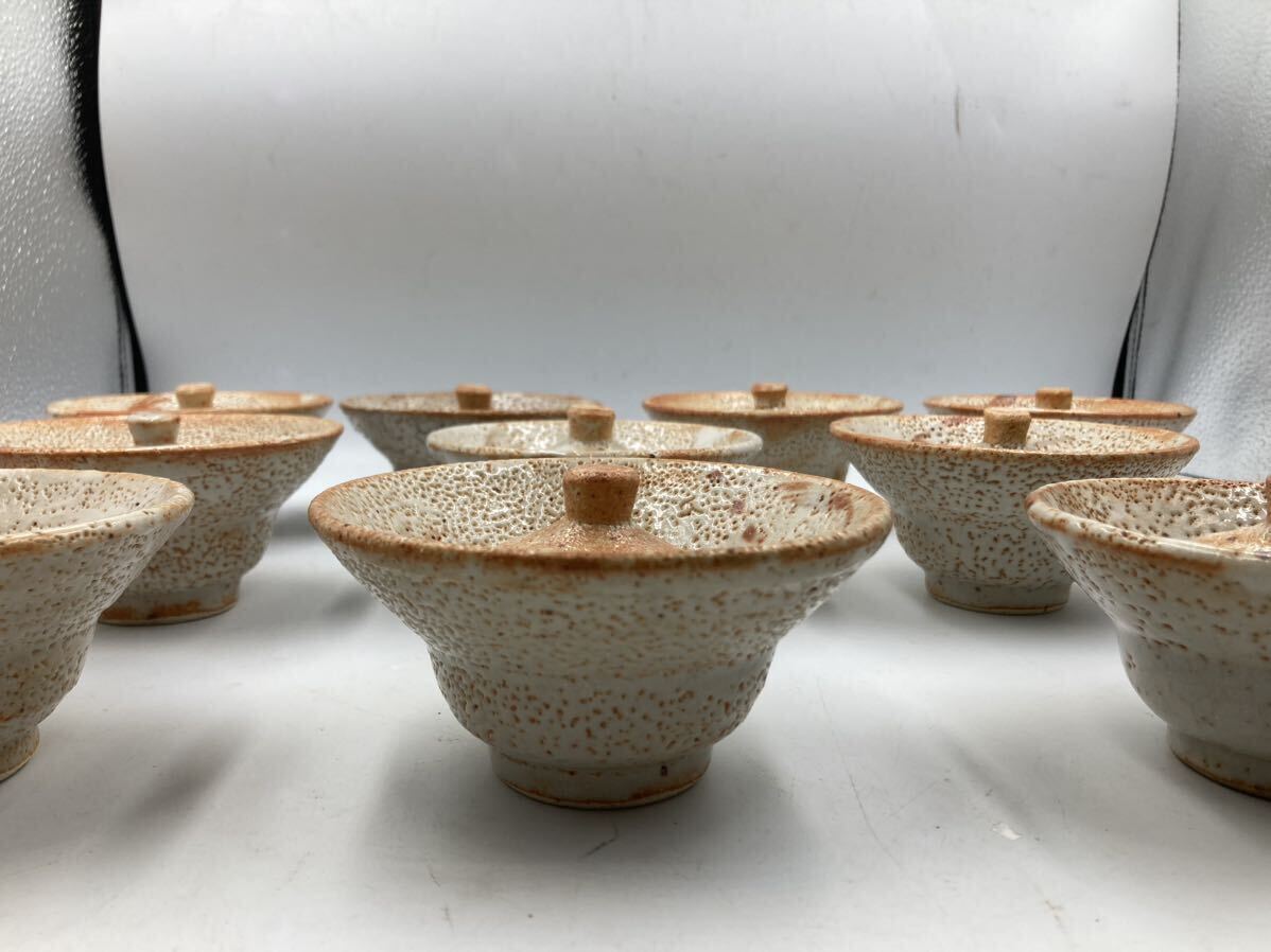 陶芸家　作家物　志野　絵志野　大皿　皿　魯山人風 魯山人 写 10客 志野 紅志野 秋皿 日本料理 懐石料理 貫入 先付け 刺身