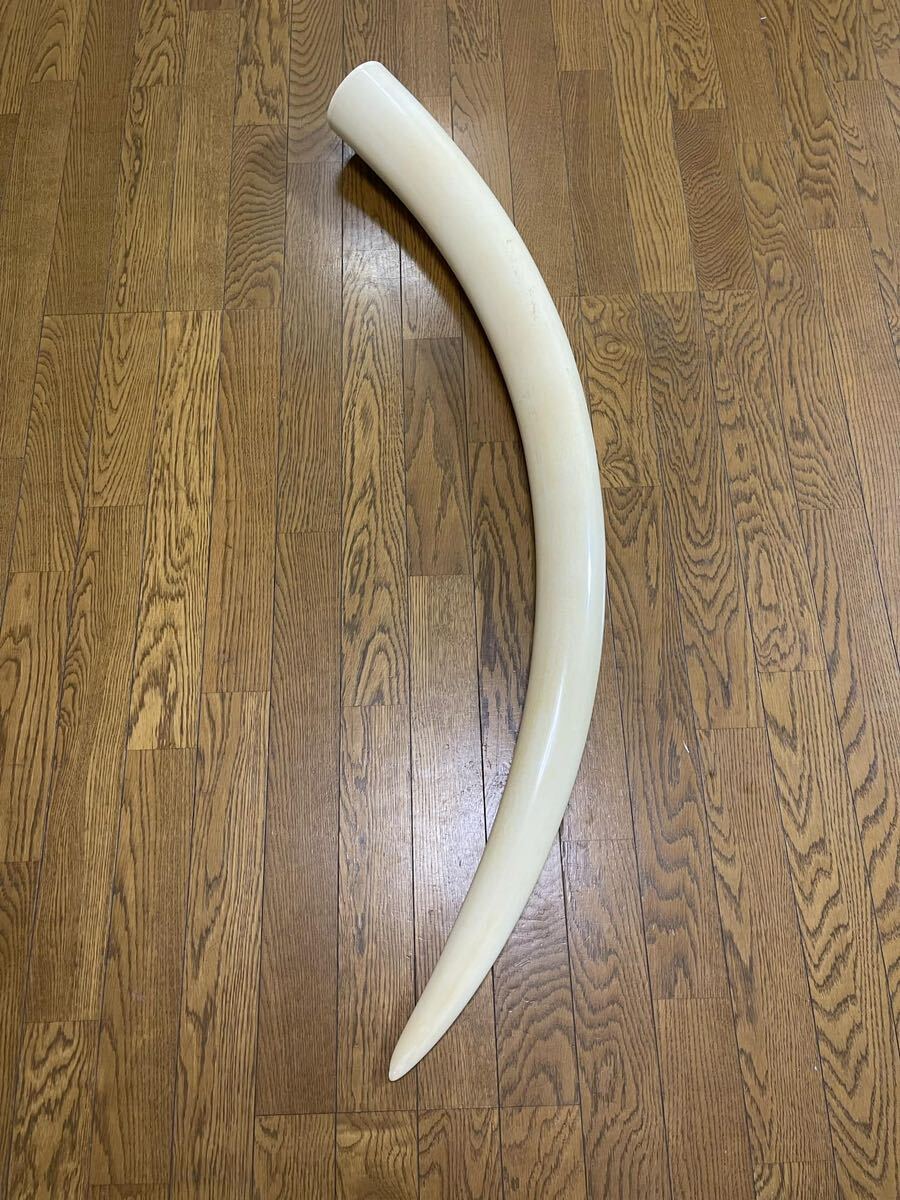 1円〜 象牙風 一本物 白材芯料 天然素材 マンモス 長約120cm 重量約7