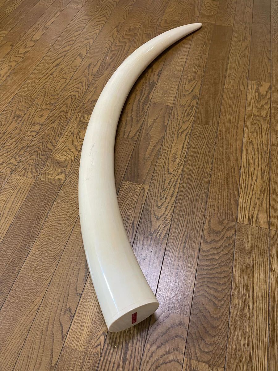 1円〜 象牙風 一本物 白材芯料 天然素材 マンモス 長約120cm 重量約7