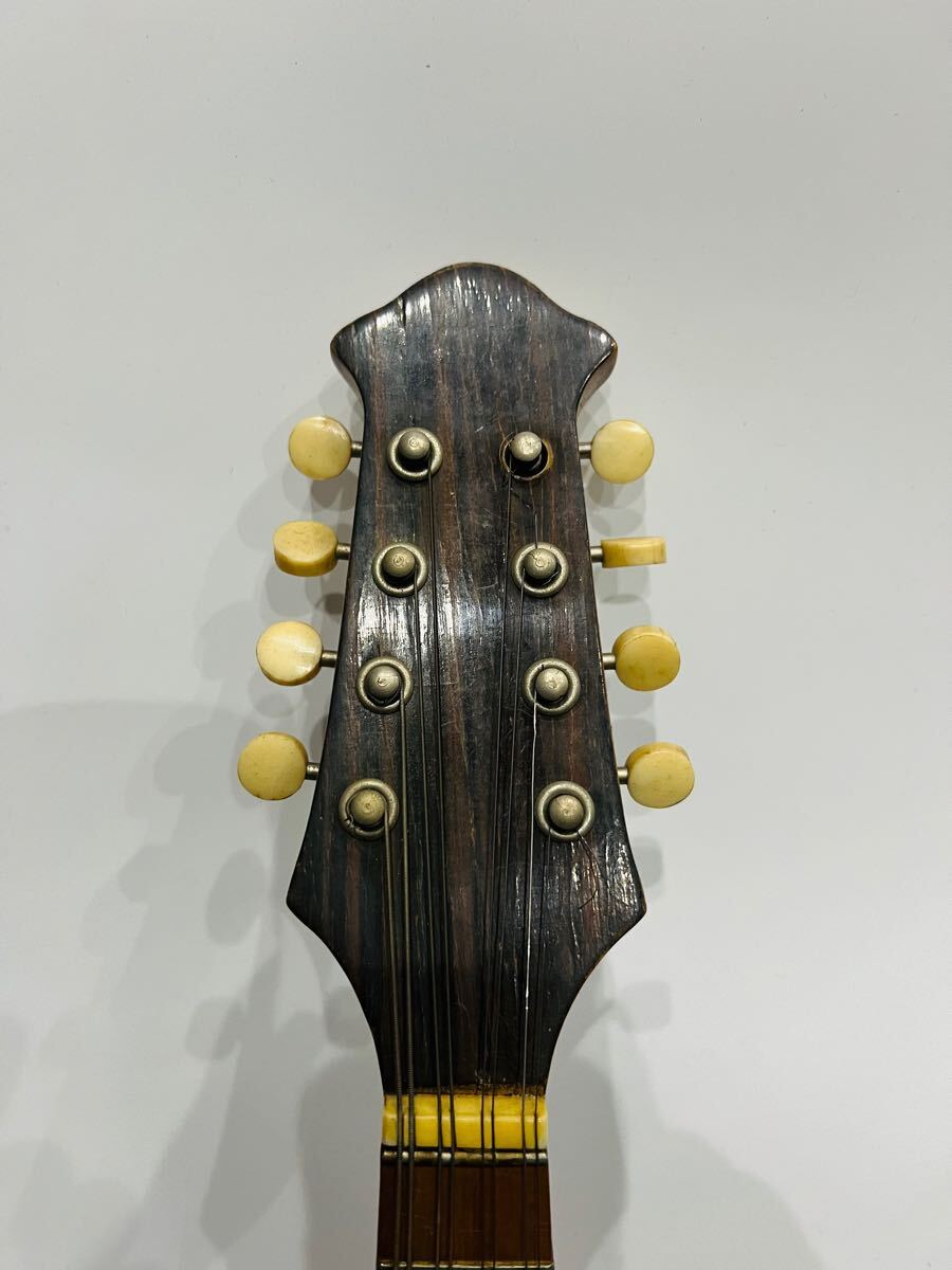 お買得】SUZUKI マンドリン No.206 1962 弦楽器 スズキ ハードケース付