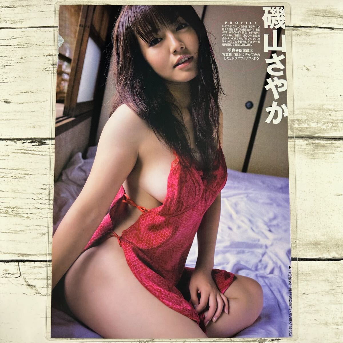 [高品質ラミネート処理][ 磯山さやか ] 雑誌 切り抜き 9P B5フィルム 水着 グラビア アイドル 芸能人 女優_3