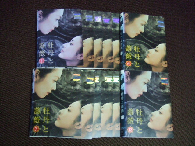 愛という名のもとに 鈴木保奈美 唐沢寿明 江口洋介 DVD-BOX 4枚組 DVD