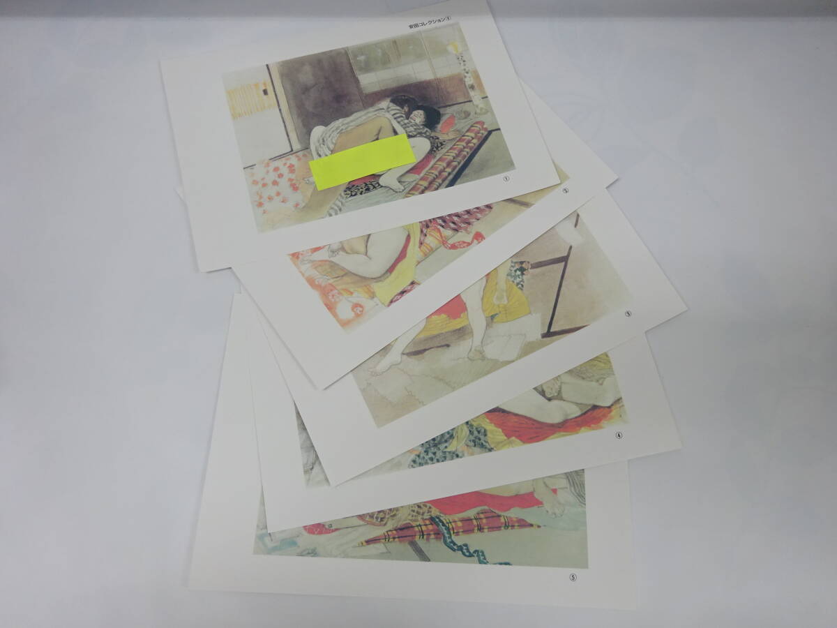 芸術祭 安田コレクション 春画 画集 36枚 長期保管品 浮世絵 艶画 枕絵
