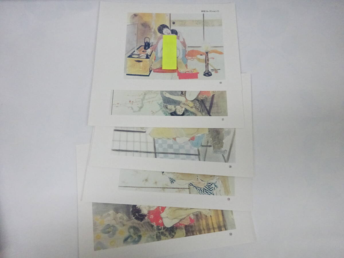 芸術祭 安田コレクション 春画 画集 36枚 長期保管品 浮世絵 艶画 枕絵