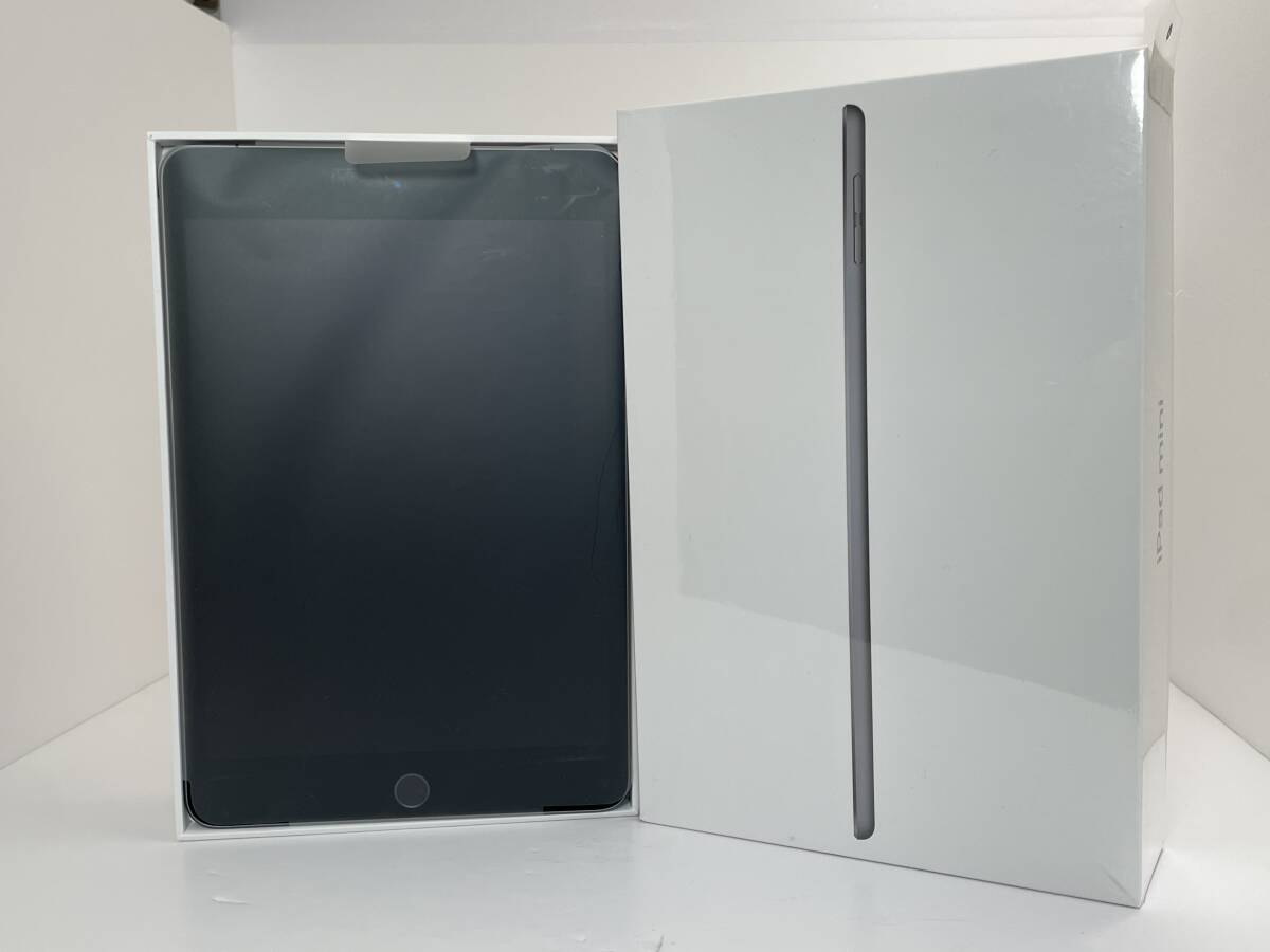 超美品】iPad mini 5 256GB Wi-Fi + Cellular スペースグレイ SIM