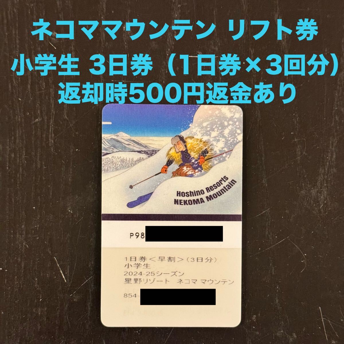 施設利用券 ネコママウンテン リフト券 1日券(3日分)