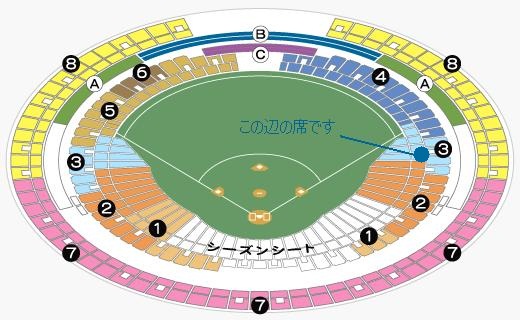 6/19(日)　中日ｖｓオリックス　１塁側オパール席ペア★通路側★_1