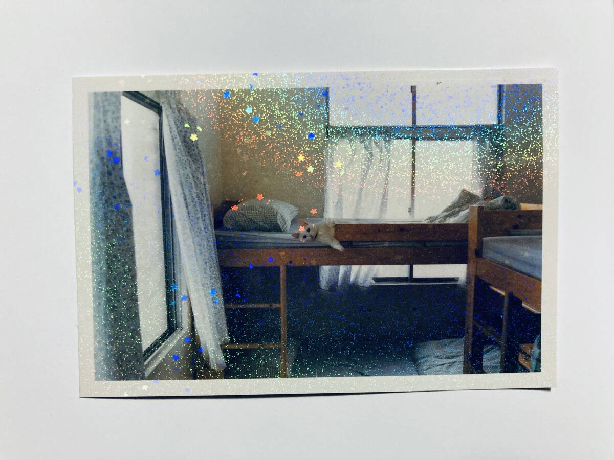 明星(川島小鳥サイン入り※巻末付録;楽しいおまけ+ポストカード付/ナナロク社'14)台湾撮影写真集/ここはぼくらのたのしい星_3