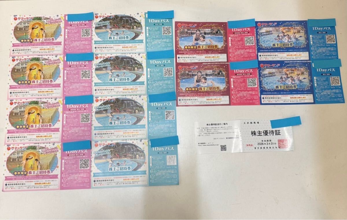 TF0425】未使用 東京サマーランド株主ご招待券 2025年 1DAYパスポート
