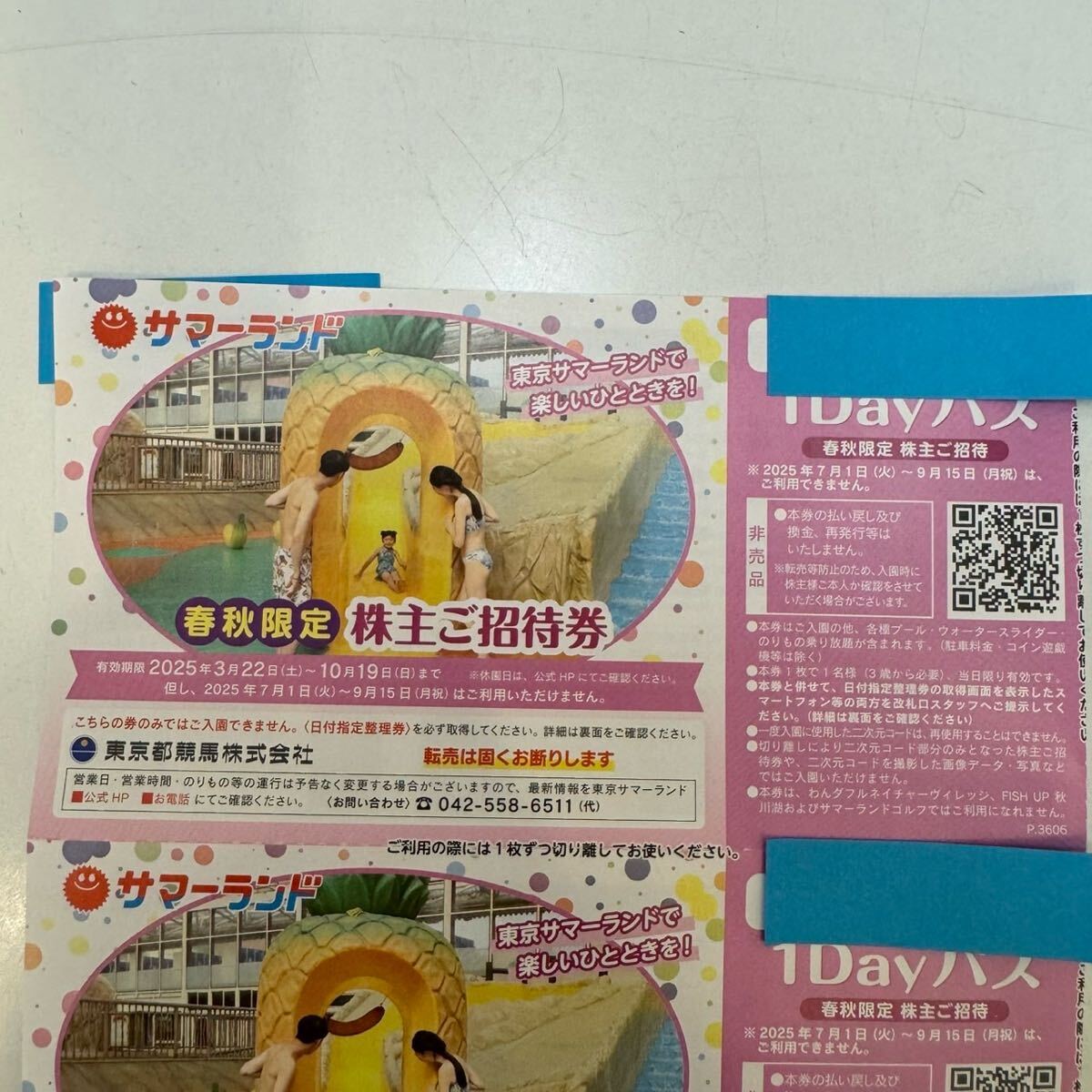TF0425】未使用 東京サマーランド株主ご招待券 2025年 1DAYパスポート