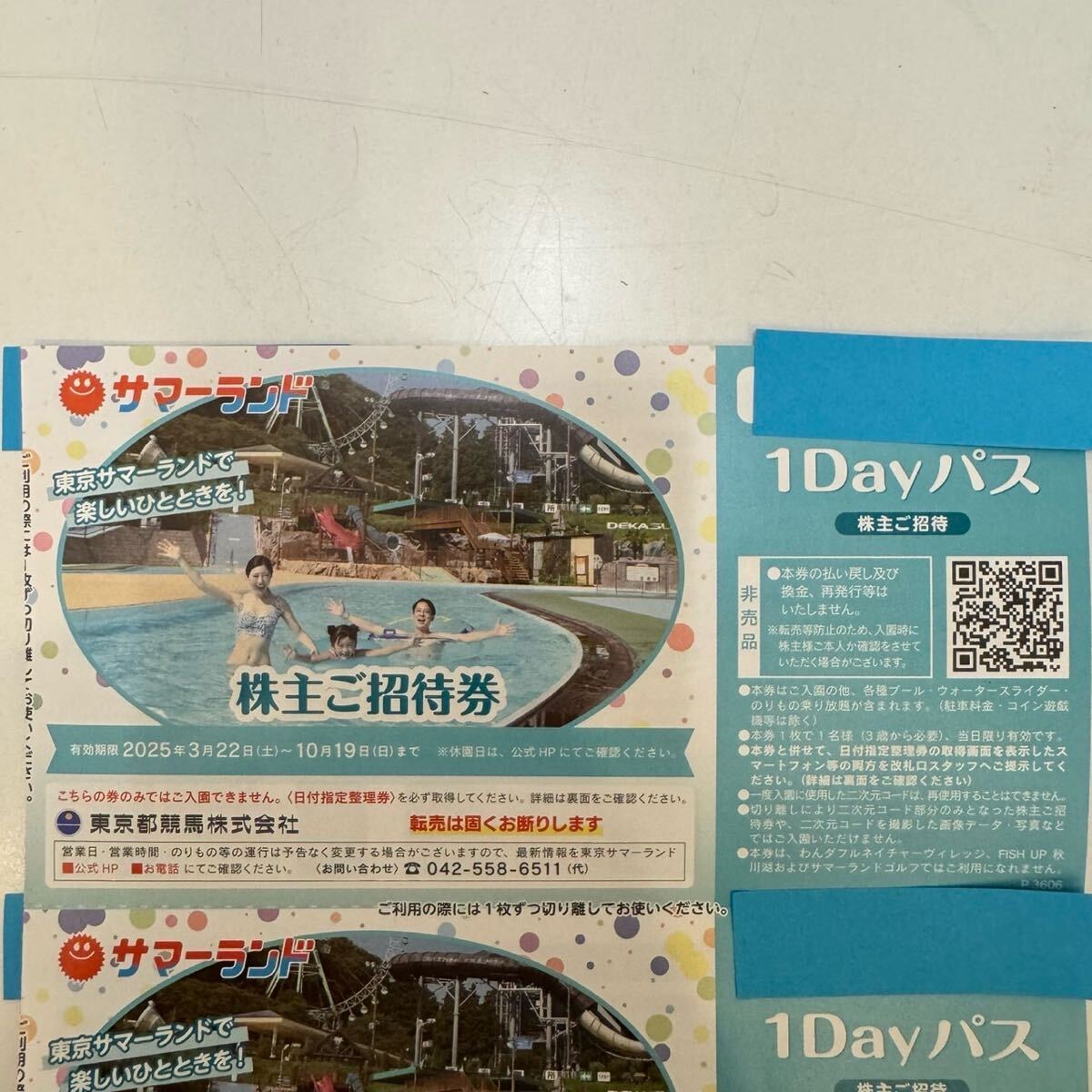 TF0425】未使用 東京サマーランド株主ご招待券 2025年 1DAYパスポート