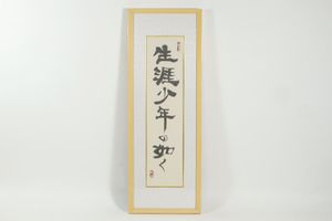 金田石城作品 墨の魔術師 | 金田 石城 |本 | 通販 | Amazon