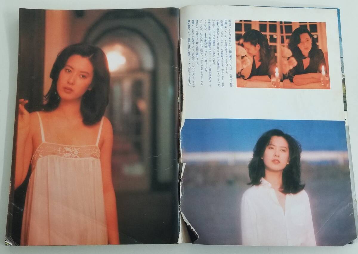 GORO ゴロー 小学館 1981年 昭和56年5月14日発行 No.10 創刊7周年記念