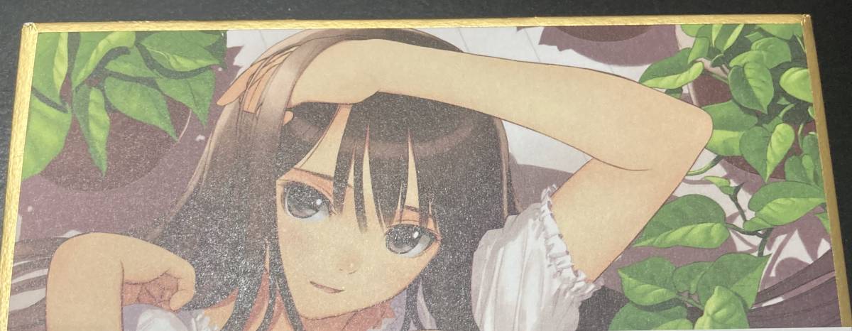 Tony 直筆サイン入り複製原画色紙 T2 ART WORKS 2 Tony 直筆サイン入り複製