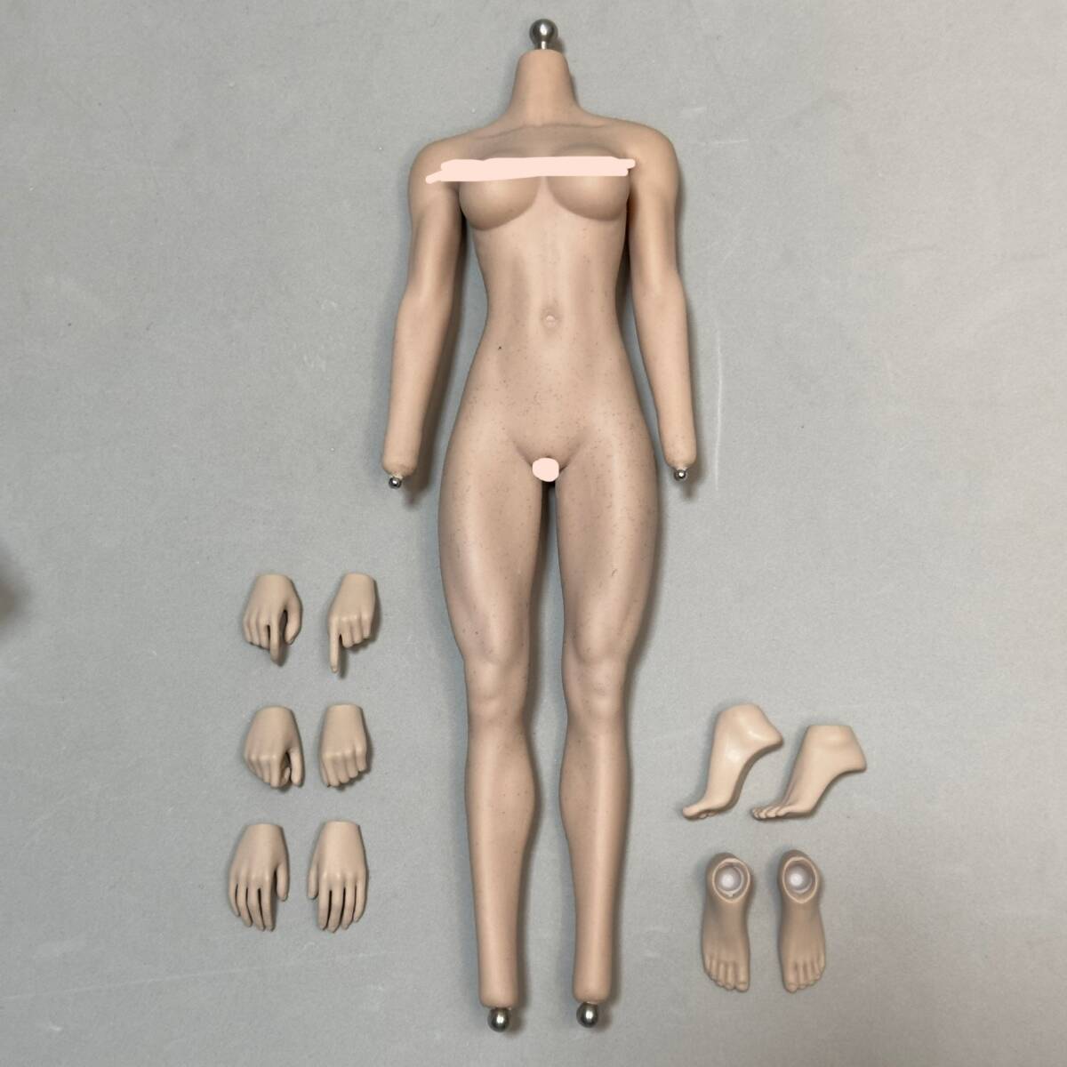 TBLeague 1/6 シームレス 女性 素体 S21B TBリーグ Phicen ファイセン
