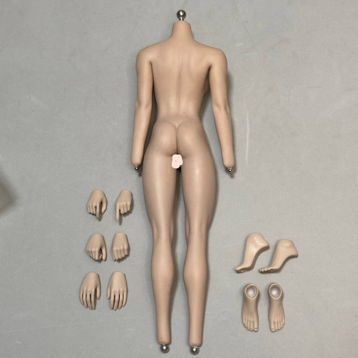 1/6スケール シームレスドール 素体 フィギュア　PHICEN TBLeague 1/6 シームレス 女性 素体 S21B TBリーグ Phicen ファイセン