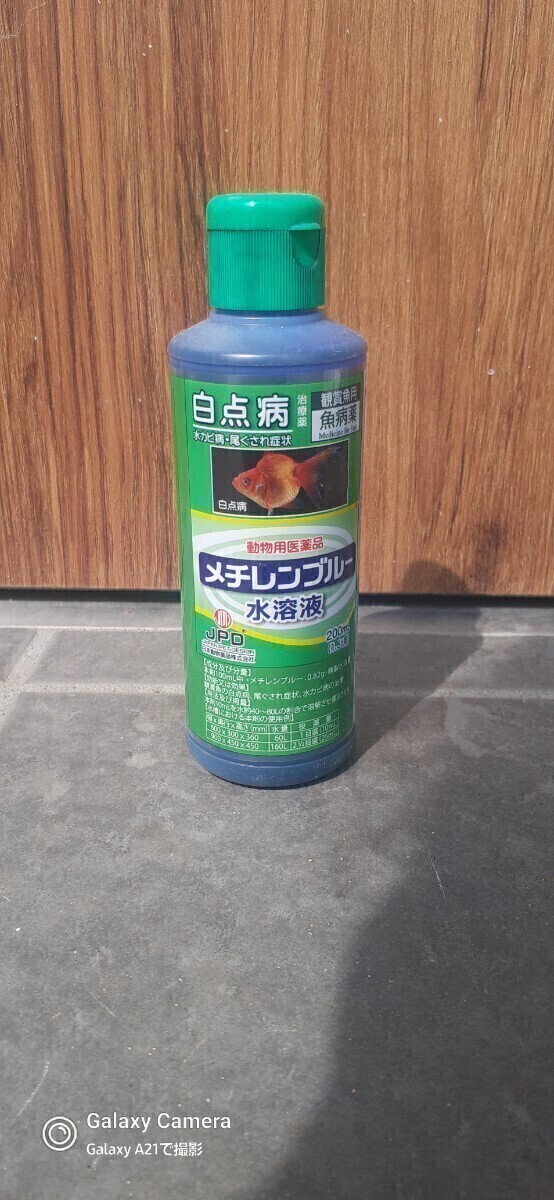 和墨めだかの卵１５個＋α ビオトープ 水草_2