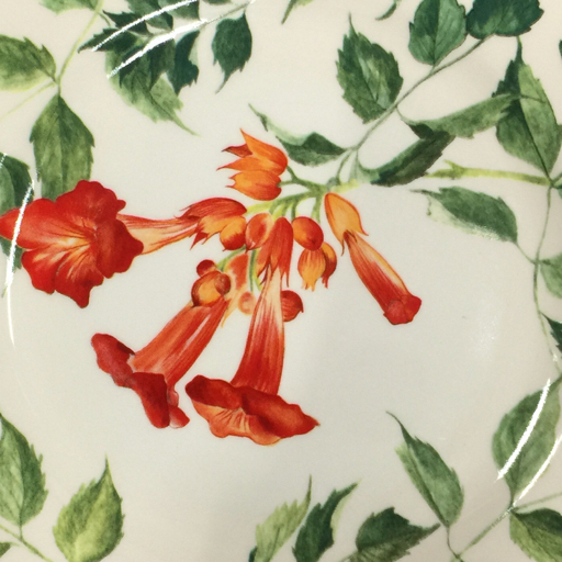 ジアン RAMADES 直径 22cm ディナープレート プレート 皿 洋食器 食器 陶器 テーブルウェア フランス製 Gien(ジアン ...
