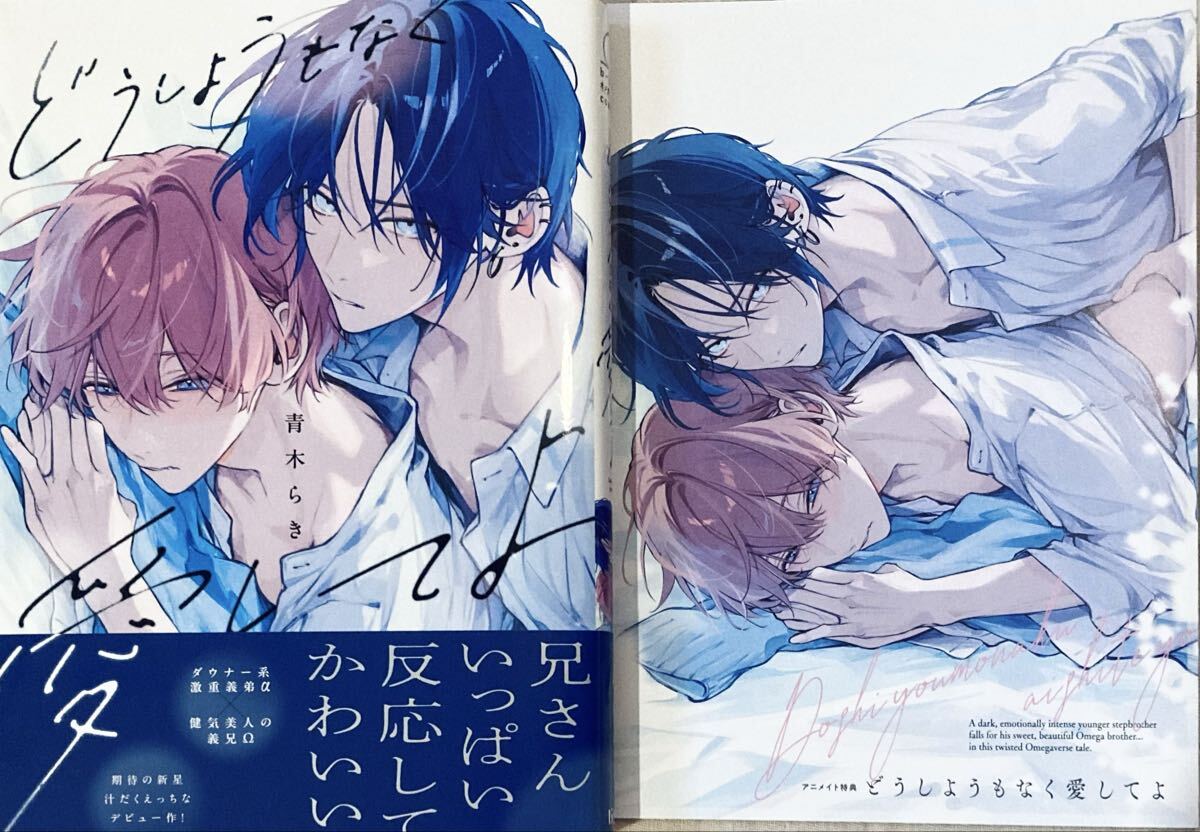 ◇9月新刊◇ 青木らき [どうしようもなく愛してよ] アニメイト 