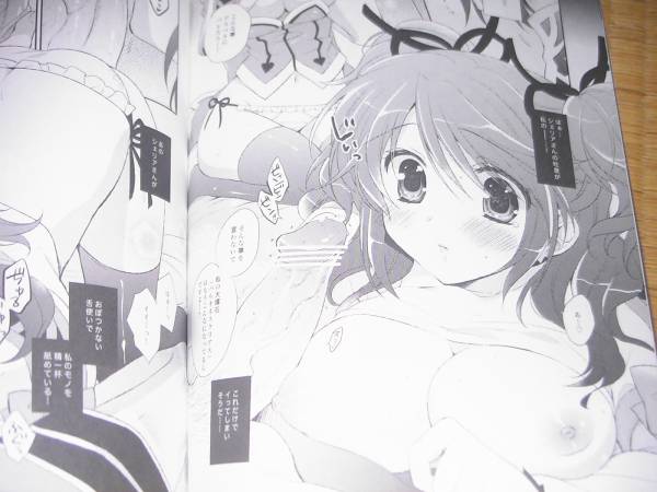 テイルズ オブ グレイセス シェリア 同人誌セット_3