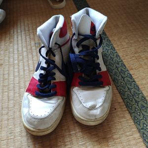 ナイキバスケット シューズ