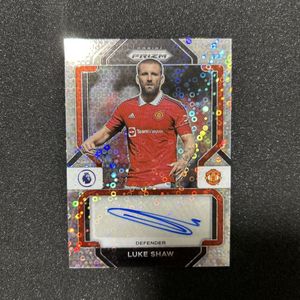 サッカーカード PANINIの値段と価格推移は？｜106件の売買データから