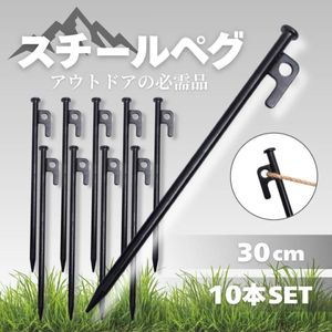 スチールペグ 30cm 10本 キャンプ テント 黒 ブラック アウトドア 軽量 タープ 設営 ロー