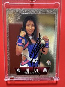 日本女子プロレスの値段と価格推移は？｜233件の売買データから日本
