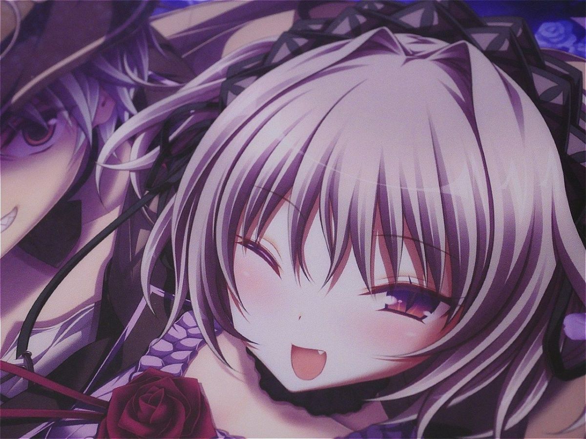 ハピメア 複製原画 Dream memory 克直筆サイン入り 10th Anniversary