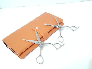 ミズタニシザーのYahoo!オークション(旧ヤフオク!)の相場・価格を見る