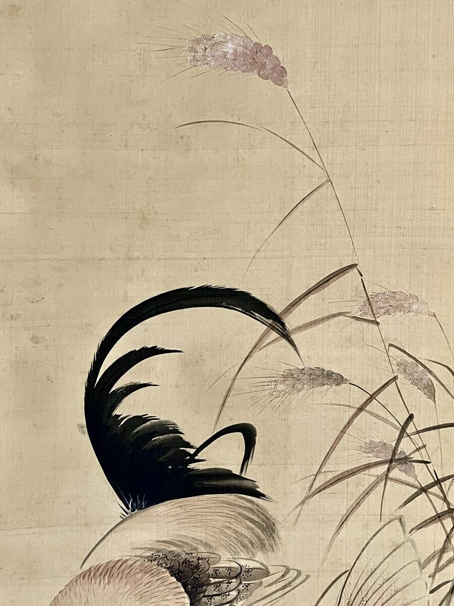 模写】【掛軸】伊藤若冲 画家 江戸中期 対幅 絹本肉筆 桐箱 156 掛軸