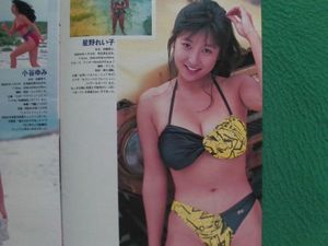 星野麗子の値段と価格推移は？｜8件の売買データから星野麗子の価値が