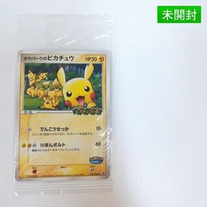 ポケパークのピカチュウの値段と価格推移は？｜15件の売買データから