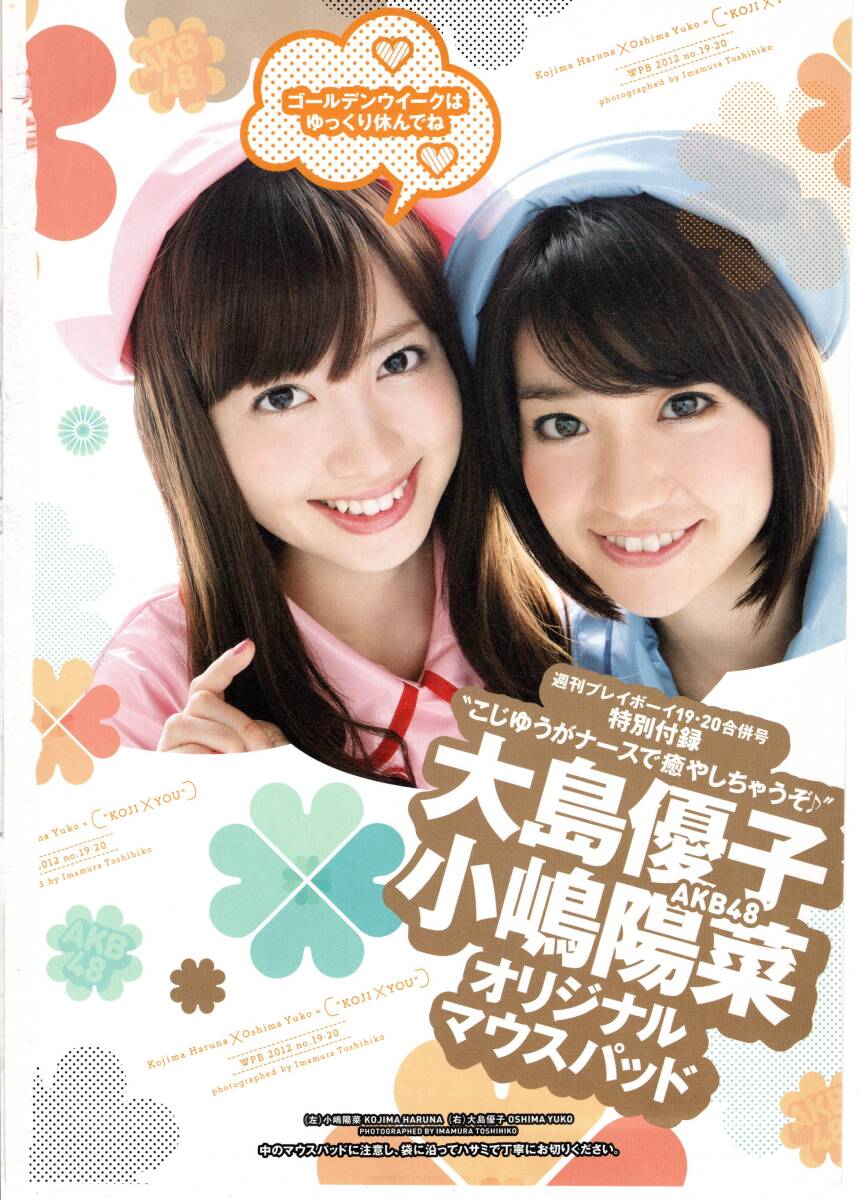 未開封帯付]大島優子写真集「脱ぎやがれ」予約特典メイキングDVD_付録