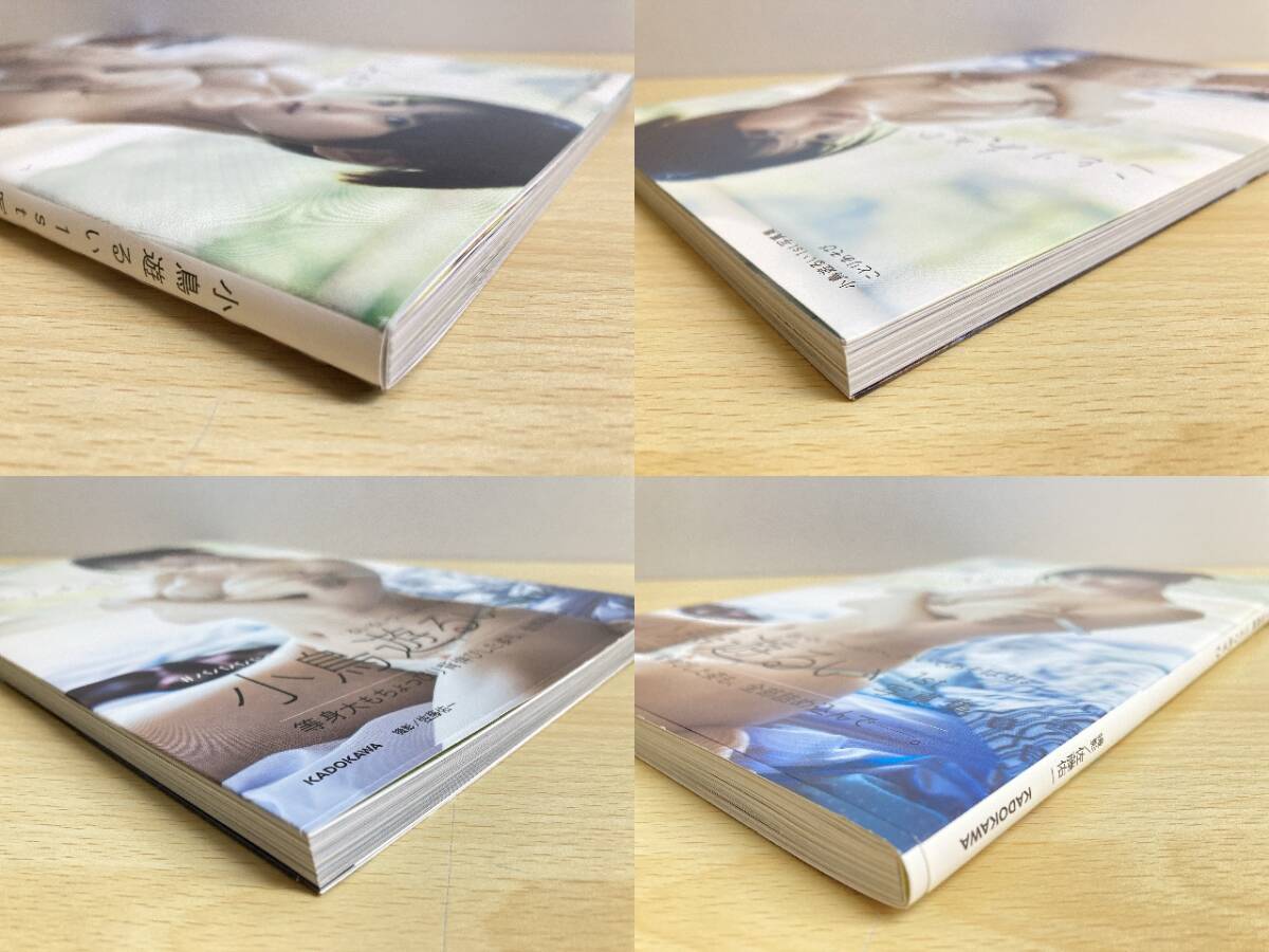 017(222)【1円スタート】 小鳥遊るい 1st 写真集 ことりあそび 帯付き