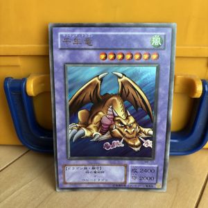 千年竜のYahoo!オークション(旧ヤフオク!)の相場・価格を見る｜Yahoo