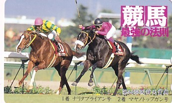 ナリタブライアン テレカの値段と価格推移は？｜3件の売買データから
