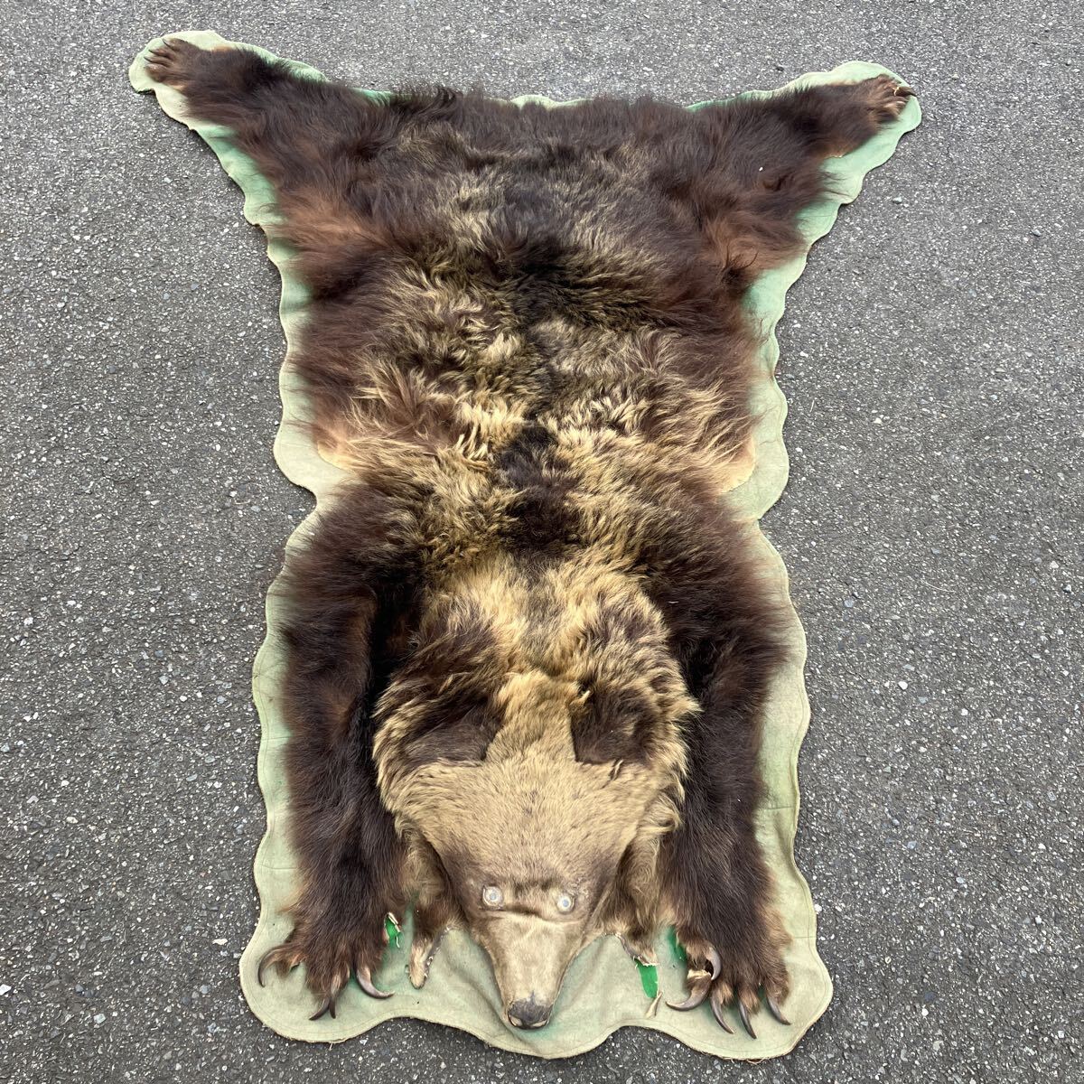 ヒグマ毛皮の値段と価格推移は？｜2件の売買データからヒグマ毛皮の