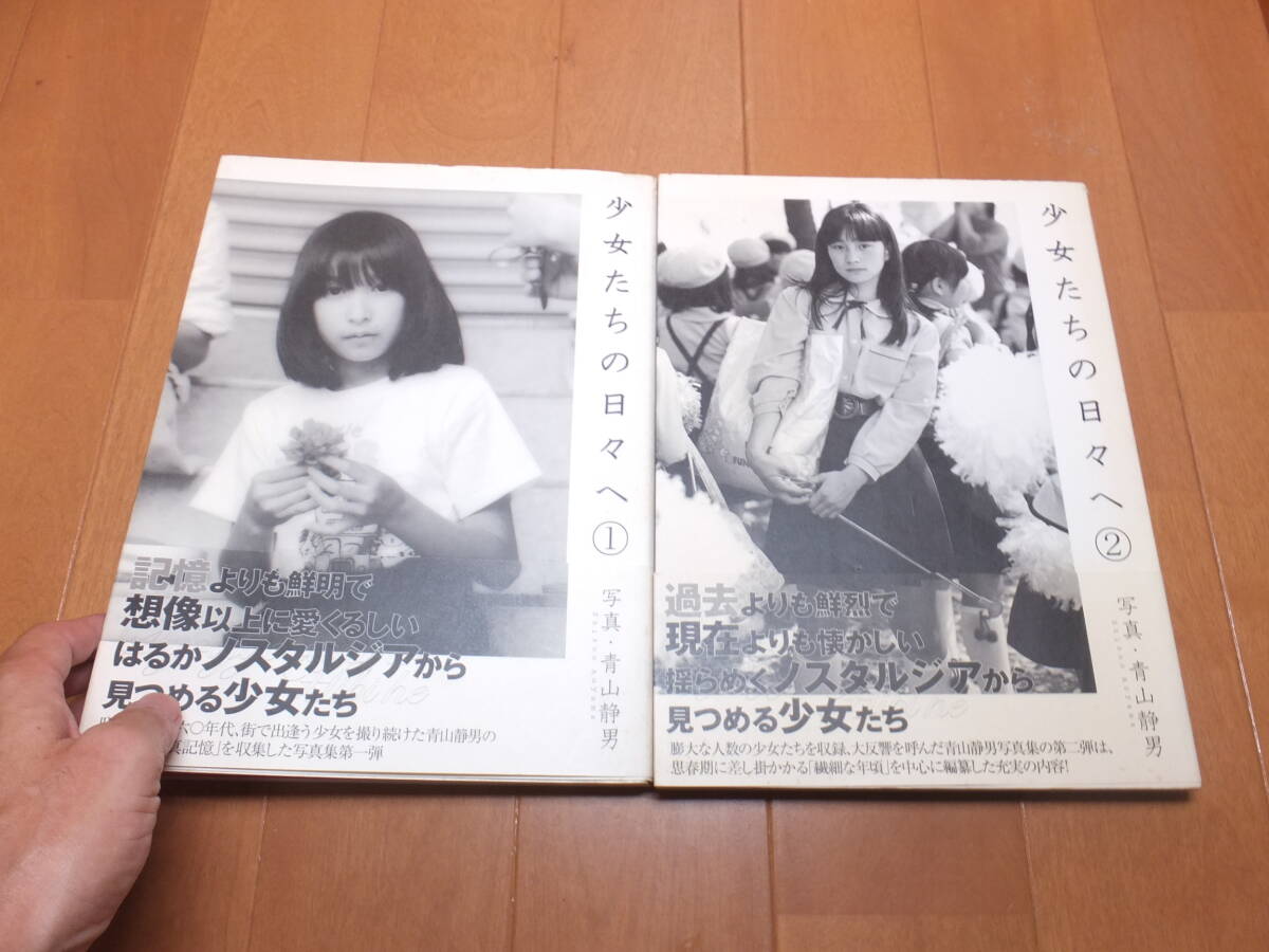 希少 SWITCH Björk×荒木経惟 アートポスター アラーキー 荒木経惟