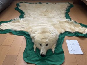白熊 毛皮の値段と価格推移は？｜1件の売買データから白熊 毛皮の価値