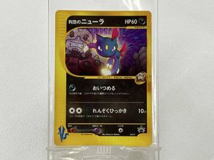 R団のニューラの値段と価格推移は？｜22件の売買データからR団の