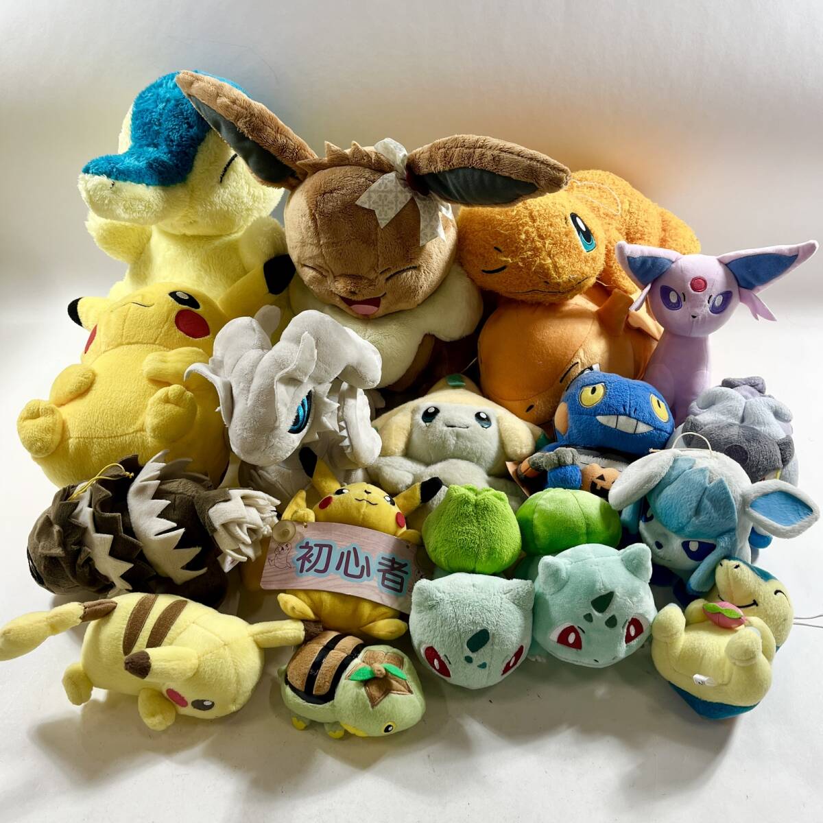 pokemon ぬいぐるみの値段と価格推移は？｜253件の売買データから