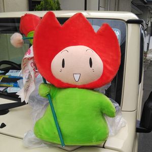 花ずきんちゃんの値段と価格推移は？｜7件の売買データから花ずきん