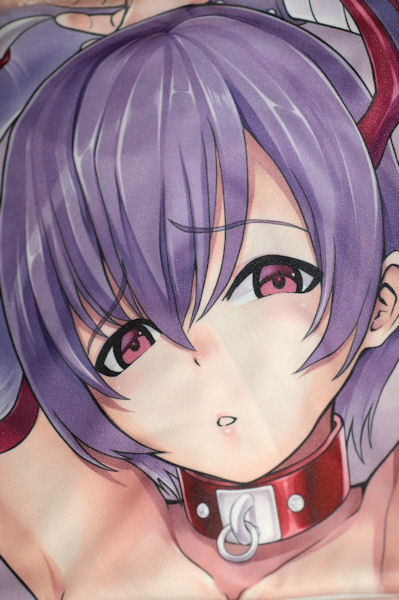 ヴァンパイアセイヴァー リリス 両面抱き枕カバー H O P 抱き枕 売買されたオークション情報 Yahooの商品情報をアーカイブ公開 オークファン Aucfan Com