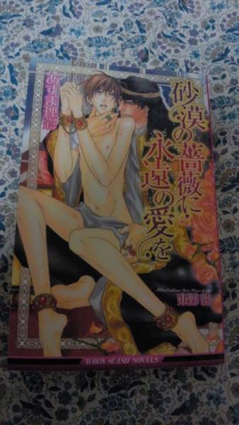 あすま理彩 砂漠の薔薇に永遠の愛を 東野裕 n 新書 ノベルズ 売買されたオークション情報 Yahooの商品情報をアーカイブ公開 オークファン Aucfan Com