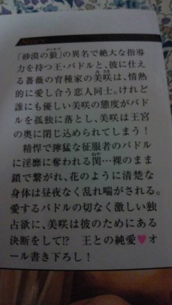 あすま理彩 砂漠の薔薇に永遠の愛を 東野裕 n 新書 ノベルズ 売買されたオークション情報 Yahooの商品情報をアーカイブ公開 オークファン Aucfan Com