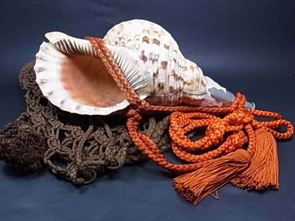 絶妙 法螺貝 山伏 綱袋付き ブランド直営