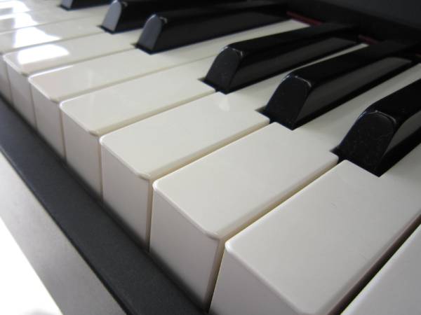 ローランド 【Roland HP-145】 88鍵盤 電子ピアノ (ローランド)｜売買 
