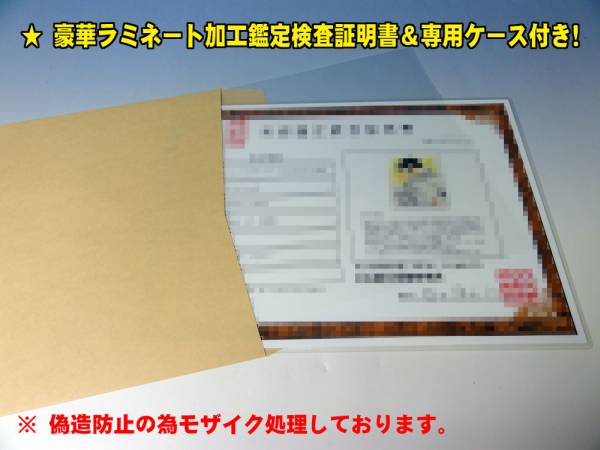 本物全返金保証] 『遊戯王』 高橋和希 直筆サイン色紙 武藤遊戯(サイン