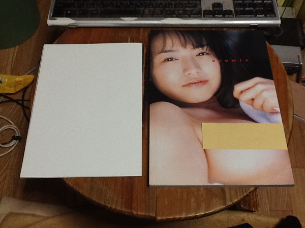 Azumix 川島和津実 全仕事 写真集 ポスター付 送料160円 その他 売買されたオークション情報 Yahooの商品情報をアーカイブ公開 オークファン Aucfan Com